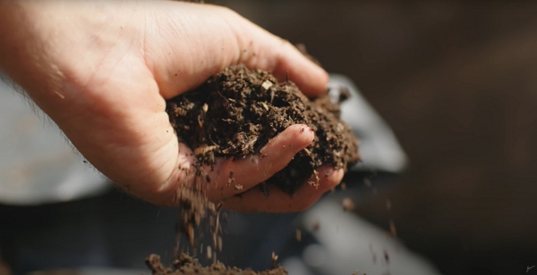  How to STOP Buying Compost (Tips For Compost Self-Sufficiency), by Huw Richards