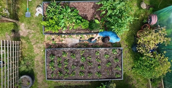 Image de l'article 'Make Compost from Your Garden Pathways with no Compost Bins Needed, by Huw Richards'
