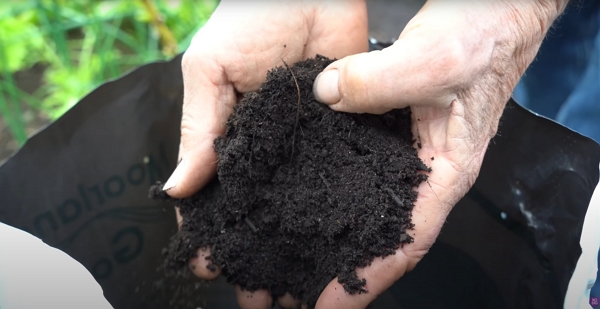 Purchased compost from a company in Yorkshire, UK