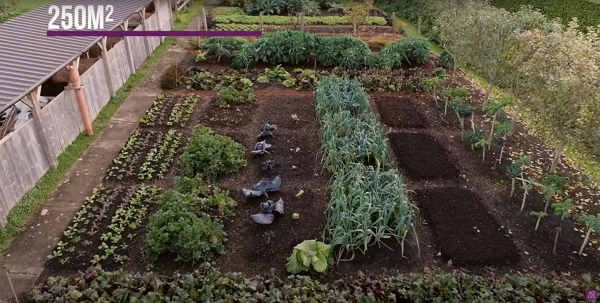 a 250 m² garden