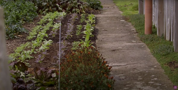 Pathways at the same level as the beds