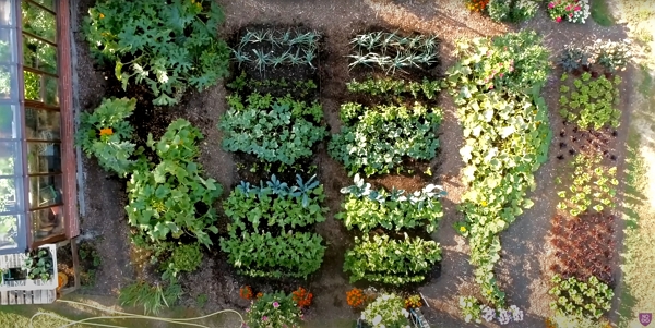 The garden of Charles Dowding seen from an aerial view