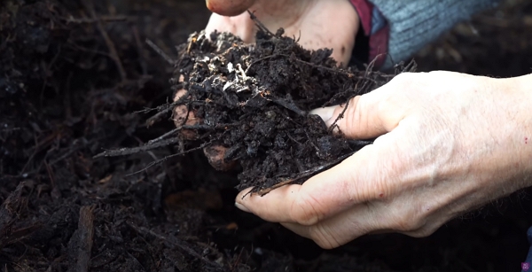 7-month-old homemade compost