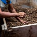 Two persons sorting a pallet compost heap