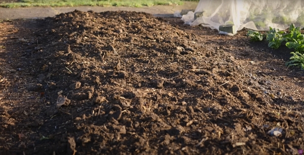 Compost on a garden bed
