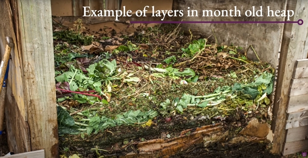 A young compost heap