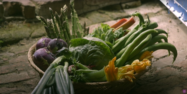 A basket of vegetables