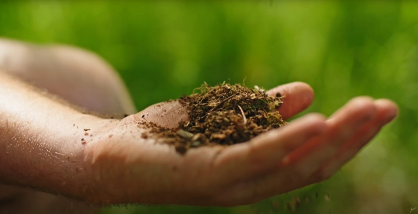 A handful of leaf mold