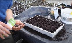 A seedling tray with Charles ready to sow some seeds