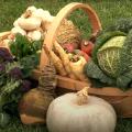A basket of vegetables