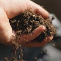 A hand full of compost