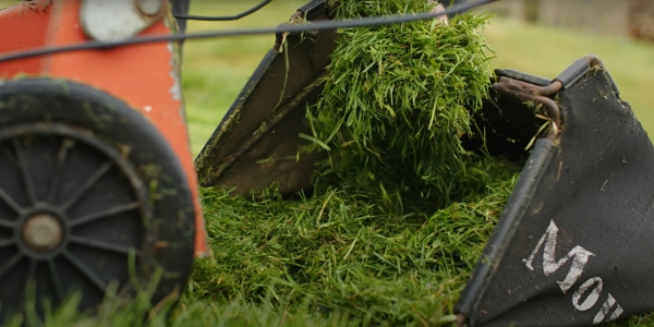 A bag of freshly cut grass clippings