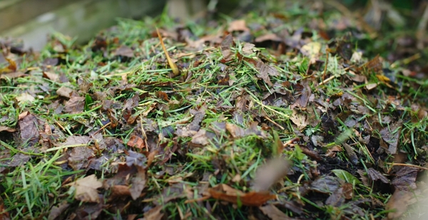 Mix of grass clippings and leaves