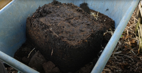 A wheelbarrow full of spent compost