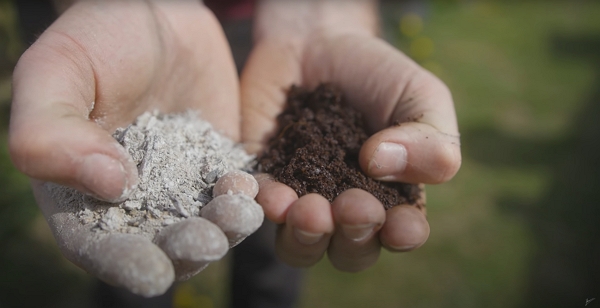 Hands full of wood ash and coffee grounds