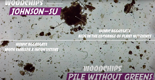 Microscope view of woodchips decomposed with 2 different methods