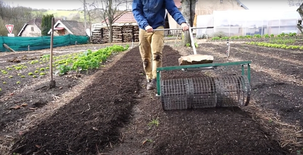 a roller-like tool to firm up the compost