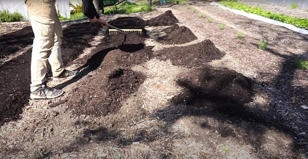 A man spreading compost