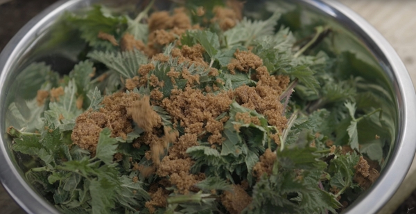 A bowl filled with nettles and brown sugar sprinkled over them