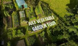  Vegetable Garden Tour in July, by Huw Richards