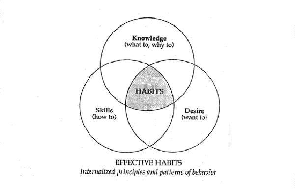 Image de l'article '7 Habits from Stephen Covey - Inside Out'
