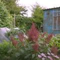 Small garden in september with Charles Dowding