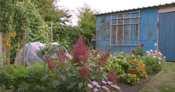 Image de l'article 'Small garden in september with Charles Dowding'