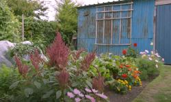  Small garden in september with Charles Dowding