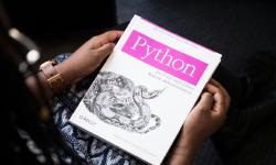 Python programming book