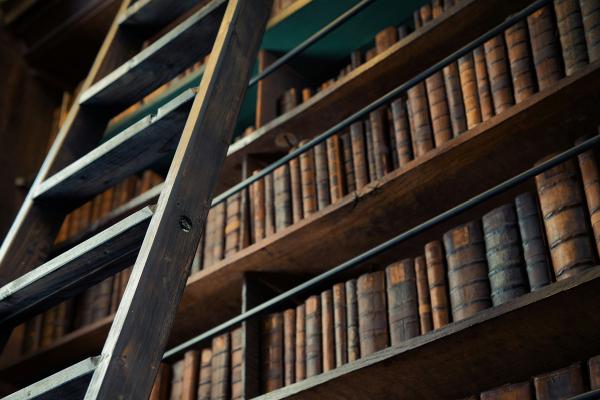 Wood ladder leaning on bookshelf