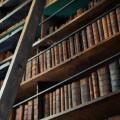 Wood ladder leaning on bookshelf