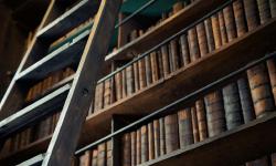 Wood ladder leaning on bookshelf