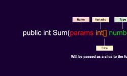 Code example of variadic parameter